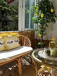 kaneviçeli balkon kırlenti